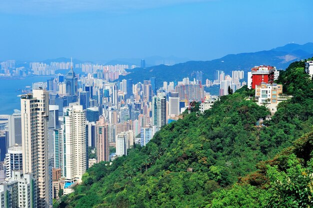 산 정상에서 본 낮에 홍콩의 도시 건축