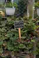 Free photo urban garden with beautiful plants