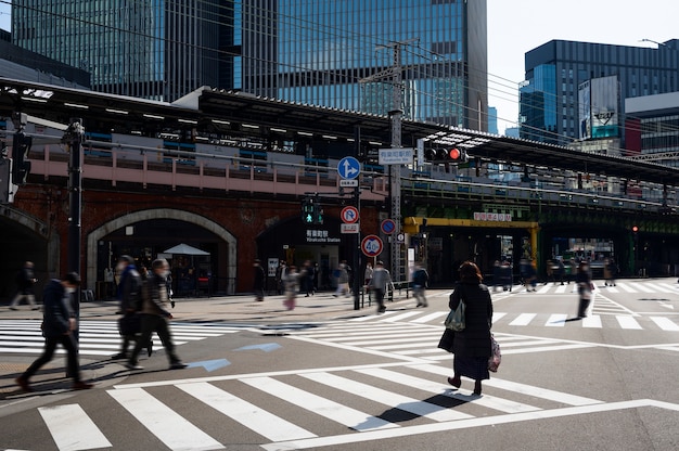 横断歩道のある東京市の都市景観