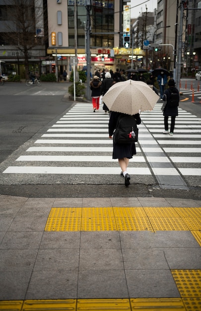 Urban landscape of tokyo city with pedestrian crossing