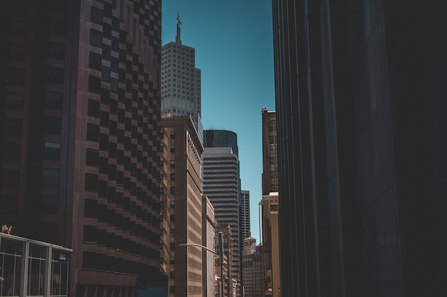 Urban shot of skyscrapers and a blue sky in the background