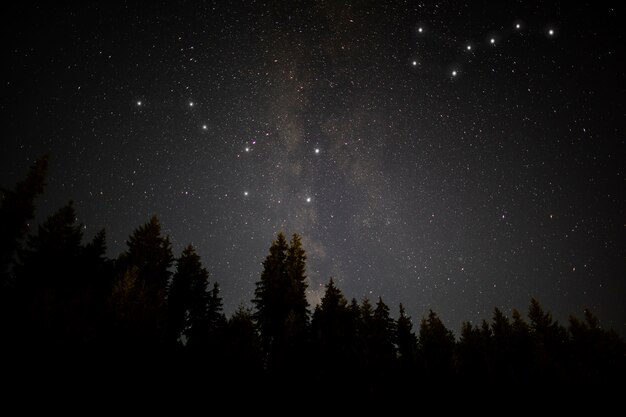 ursa major and ursa minor constellations