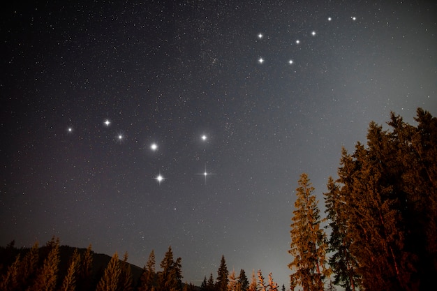 Foto gratuita costellazioni dell'orsa maggiore e dell'orsa minore