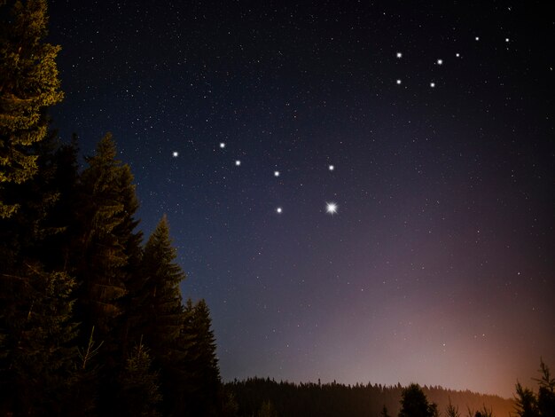 おおぐま座とこぐま座の星座