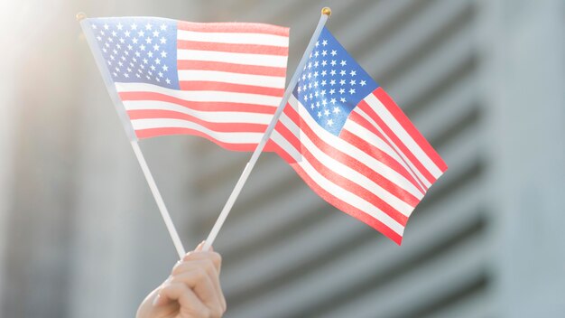 Usa flags held by hand