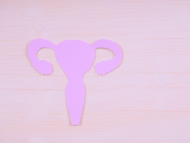 Uterus shape made frome paper on pink background. awareness of uterus illness such as endometriosis, pcos, stds or gynecologic cancer.