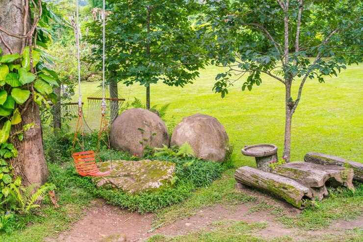 Free Photo vacation decorative plam outdoor travel