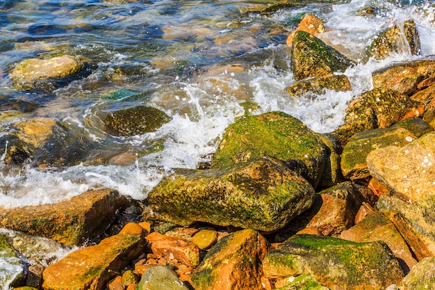 Foto gratuita vacanza ondata sabbia viaggio blu il mare