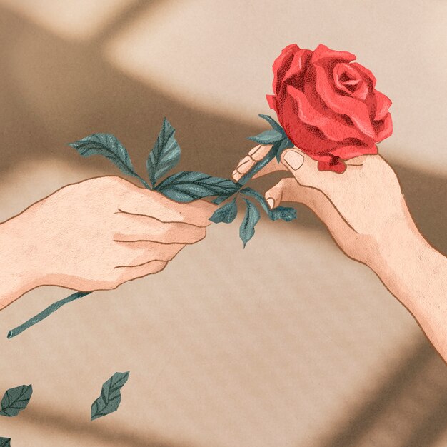 Valentine's couple exchanging rose hand drawn illustration