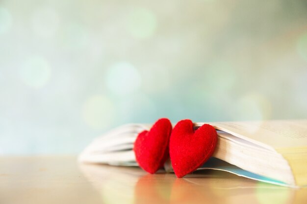 발렌타인 데이 컨셉입니다. 책의 심장. 인사말 카드.
