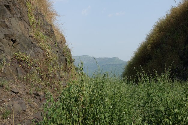 Valley between mountains