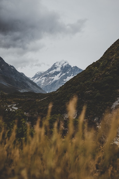 Valley Track с видом на гору Кук в Новой Зеландии