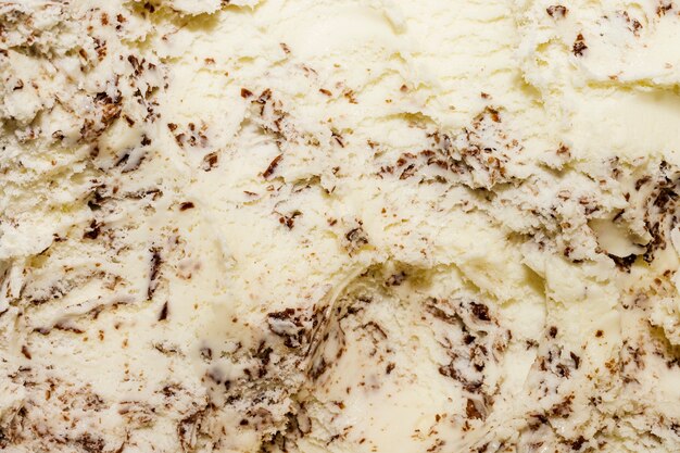 Vanilla and chocolate chips extreme close-up ice cream
