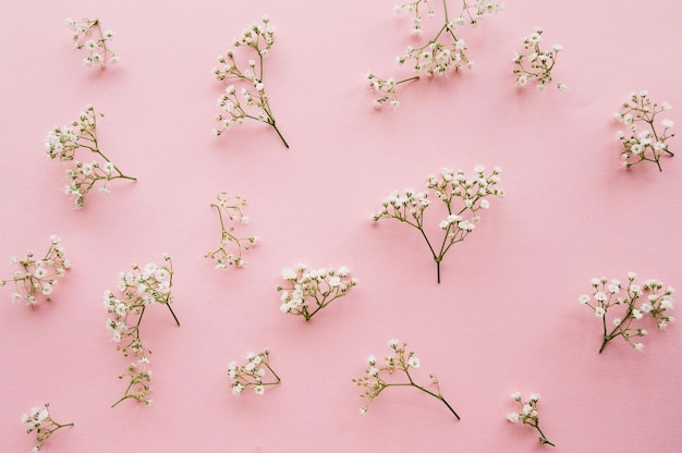 Variation of little baby's breath flowers on a light pink background