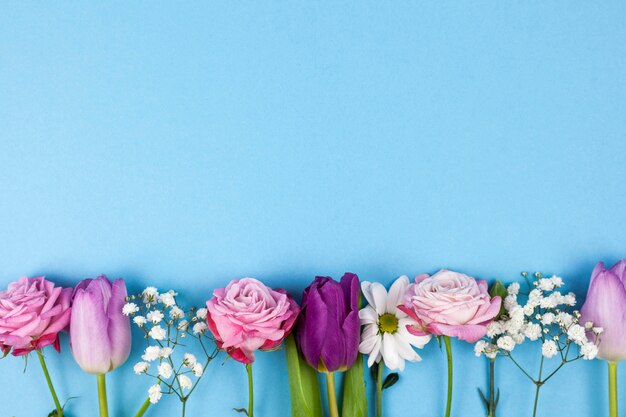 Variety of beautiful flowers arranged on bottom of blue background