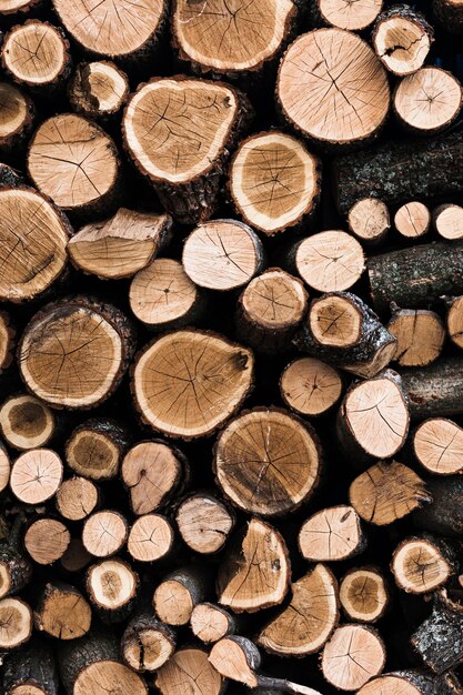 Разнообразие вырезанных деревянных стволов дерева фон