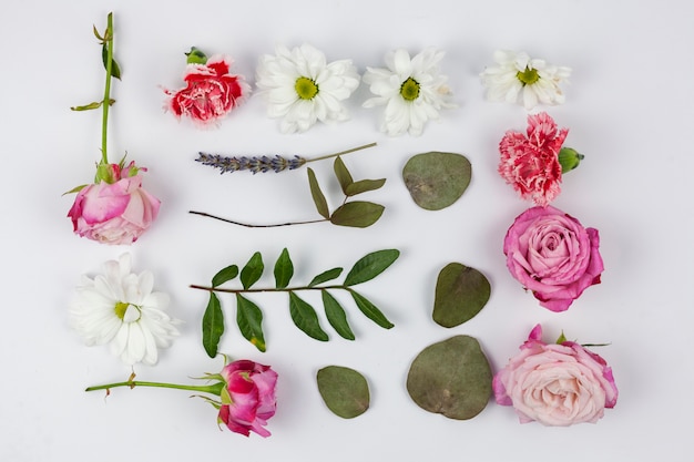 Variety of flowers with leaves against white backdrop