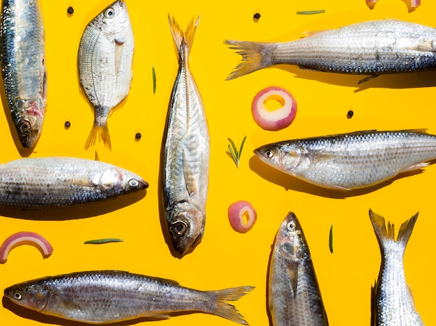 Разнообразие свежих рыб, готовых к приготовлению