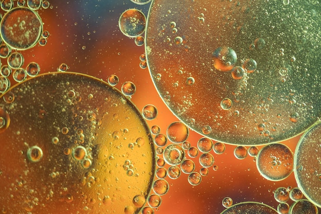 Various abstract green and orange bubbles texture