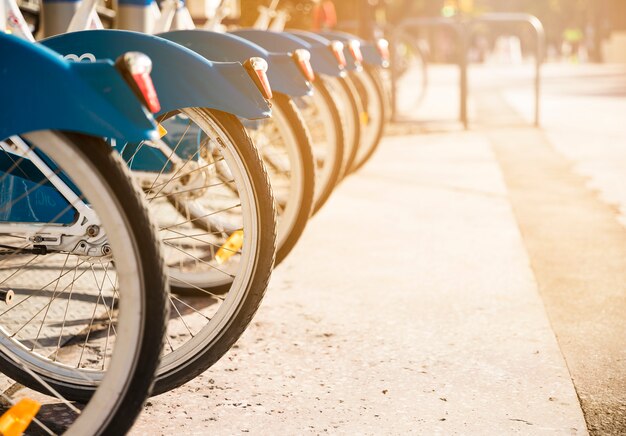 Various bicycles on a rack in sunlight available for rent