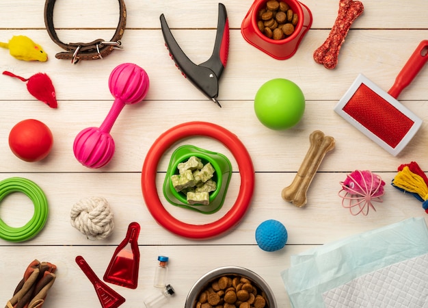 Free photo various colorful pet accessories still life concept