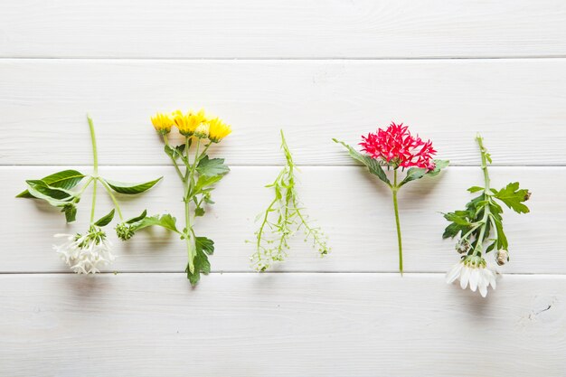 Various flowers on wooden tabletop