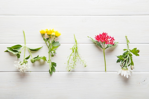 Various flowers on wooden tabletop