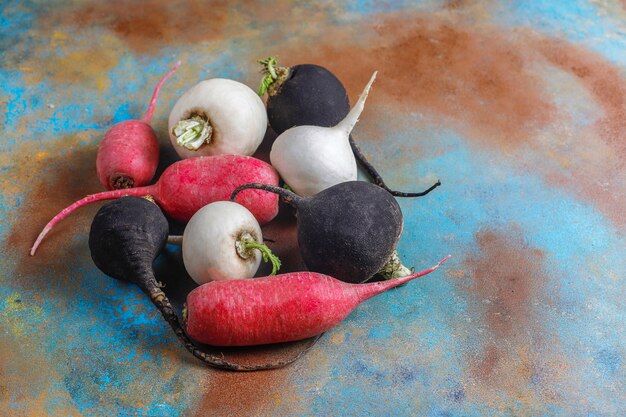 Various fresh radishes,white radish,long pink radish and black radish.