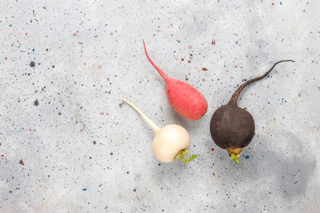 Various fresh radishes,white radish,long pink radish and black radish.