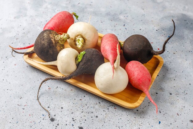 Various fresh radishes,white radish,long pink radish and black radish.