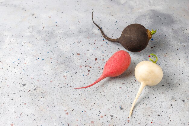 Various fresh radishes,white radish,long pink radish and black radish.