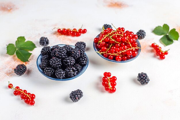様々な新鮮な夏の果実、赤スグリ、ブラックベリー、トップビュー。