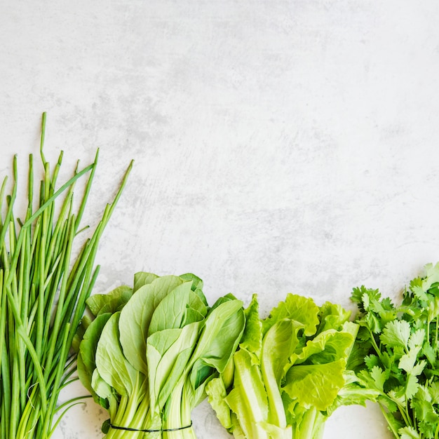 Various green vegetables arranged in a row