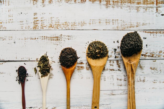 Various herbal dry tea on wooden spoon over the table