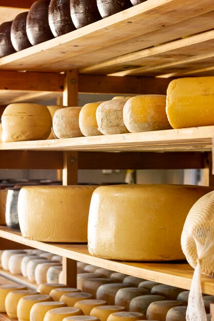 Various matured cheese wheels