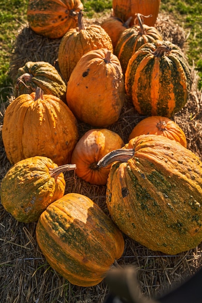 無料写真 収 の 際 に 様々な 緑 と 黄色 の <unk> が 互い の 上 に 積み重ね られ て いる