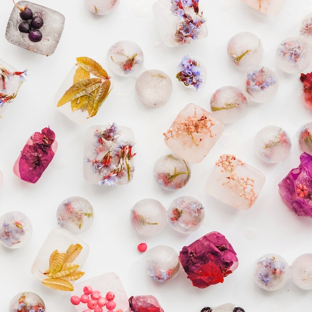 Various plants and berries in ice blocks and balls