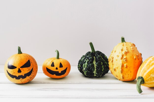 Various pumpkins on studio background