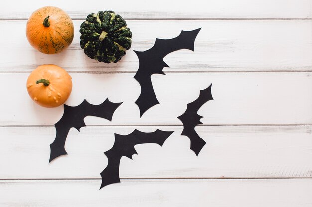 Various pumpkins with black bats