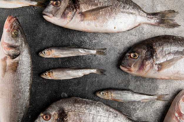 Various silver seafood fish flat lay