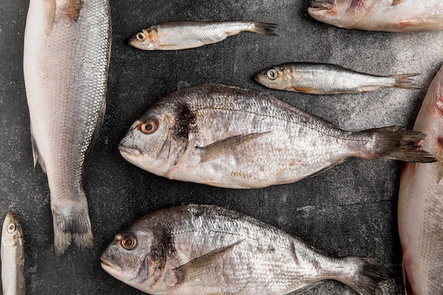 Вид сверху различных серебряных морепродуктов