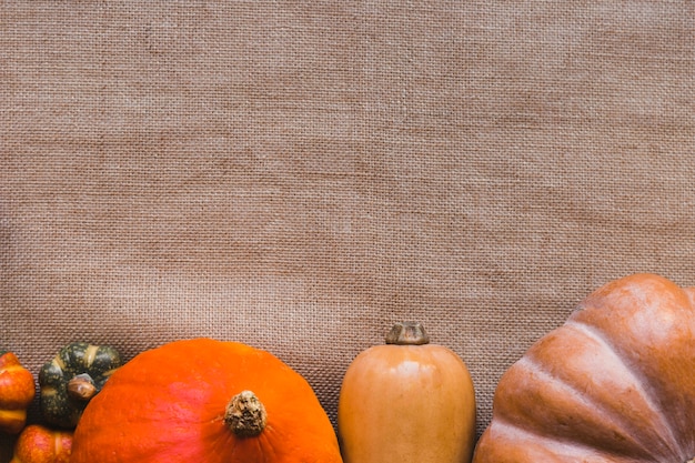 Various squashes on linen cloth