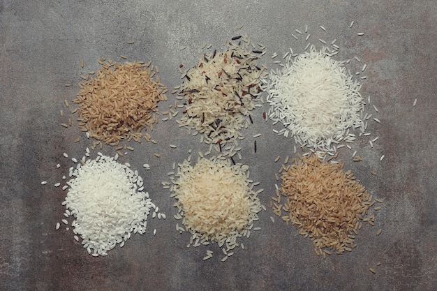 다양한 종류의 쌀