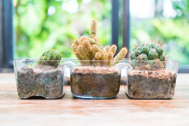 Free photo vase cactus decoration with empty room