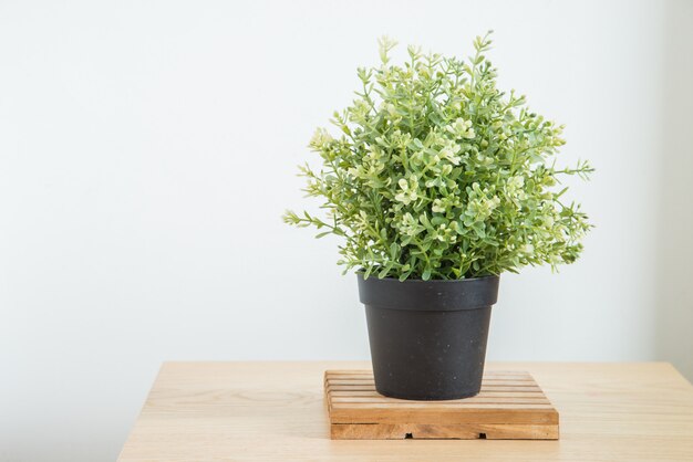 Vase plant decoration in home at window side