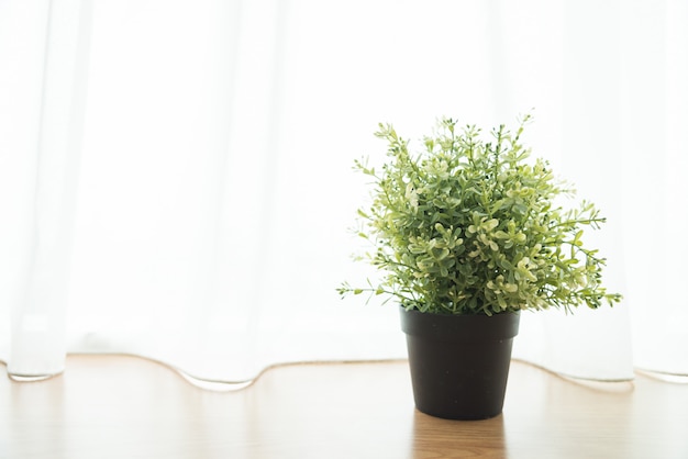 Vase plant decoration in home at window side