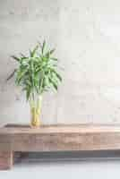 Free photo vase plant decoration with empty room