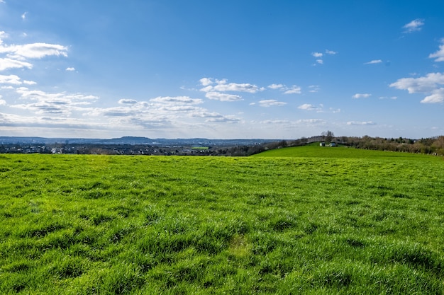 Vast green valley with a blue sky during daytime