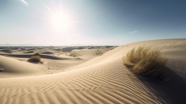 뜨거운 태양 아래 수평선까지 뻗어 있는 광활한 모래 언덕