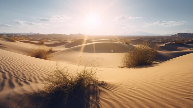 Vast sand dunes stretching to the horizon under the scorching sun